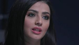 نيرمين محسن عمرها ديانتها زوجها جنسيتها معلومات عنها ويكيبيديا